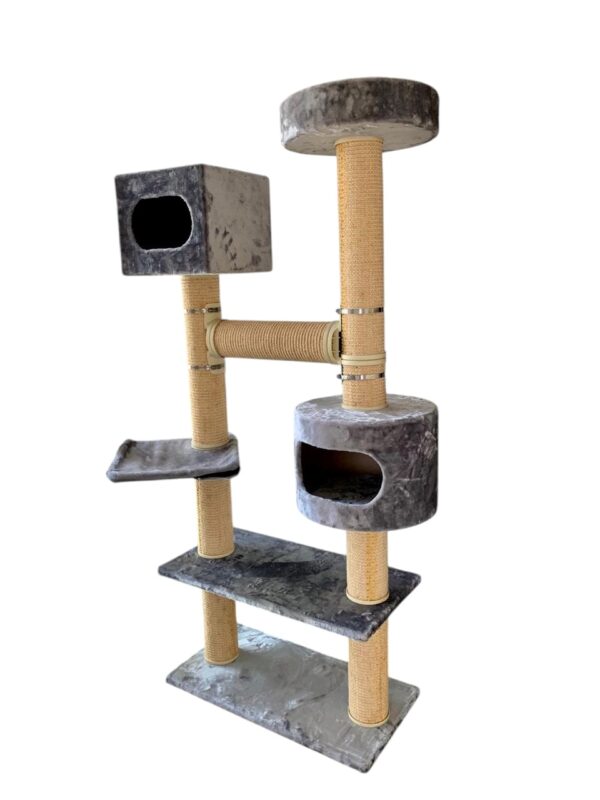 Cat-2000 floor model eco premium