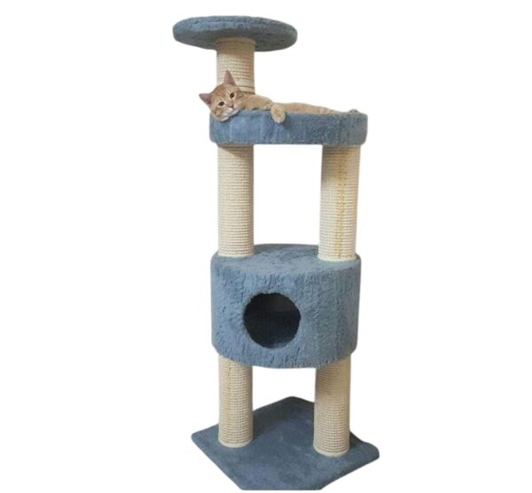 Cat-2000 floor model  xxl premium