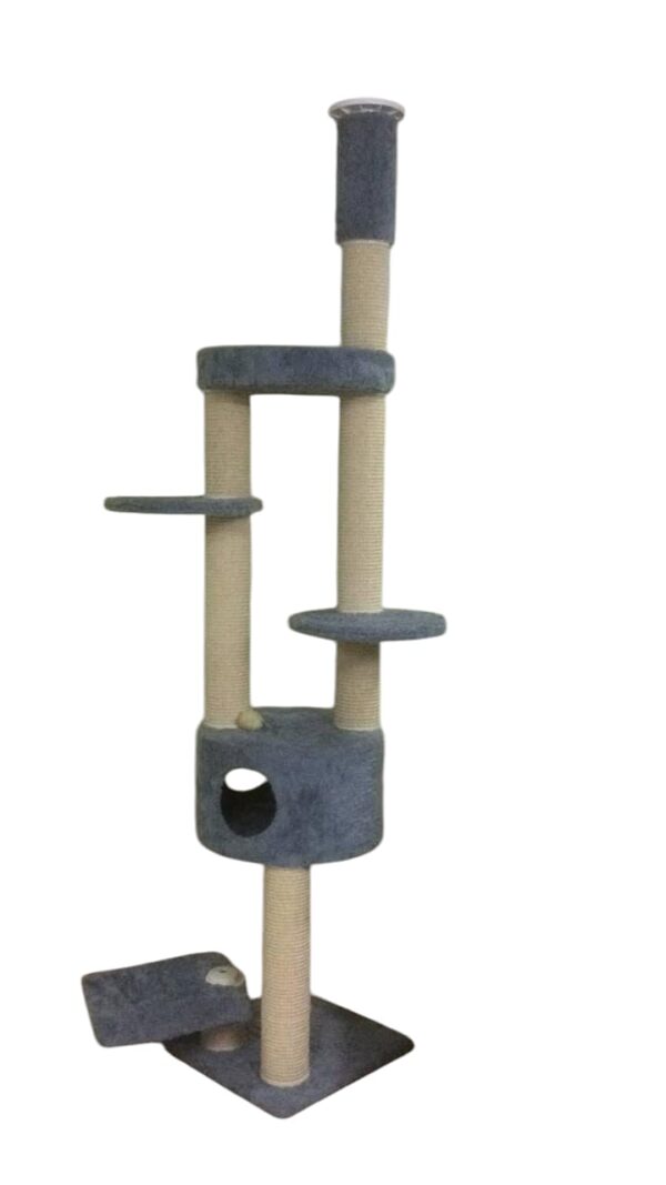 Cat-2000 floor to ceiling model