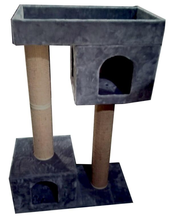 Cat-2000 floor model premium
