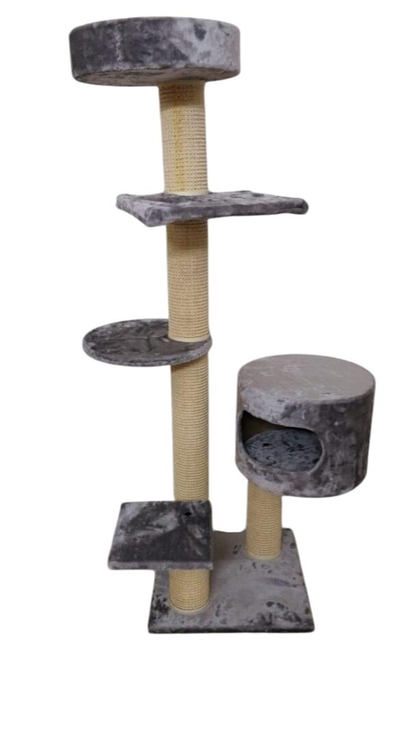 Cat-2000 floor model premium