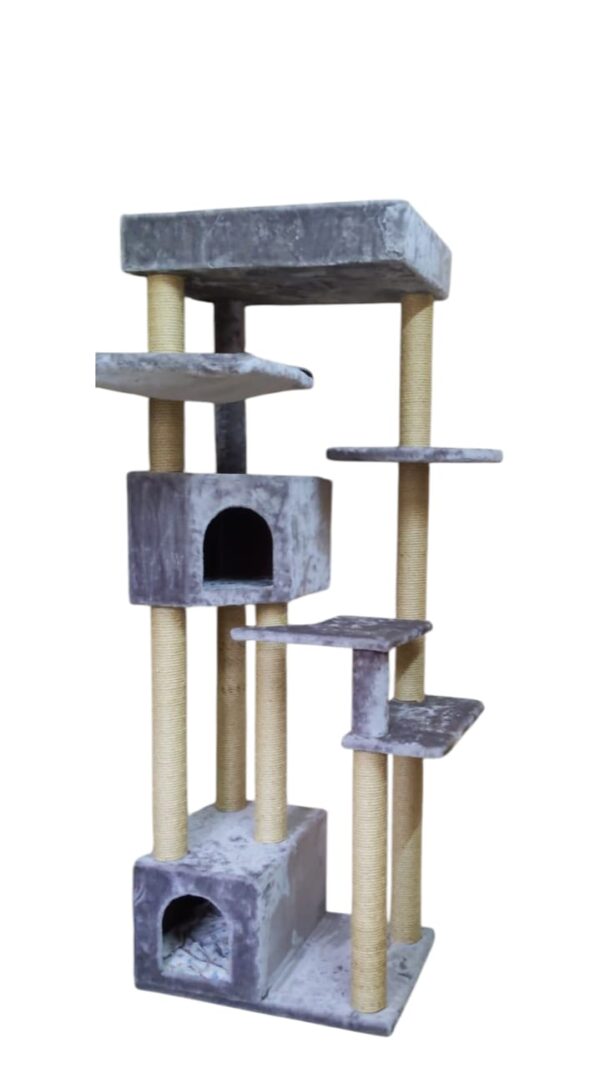 Cat-2000 floor model economic