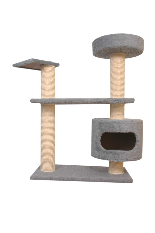 Cat-2000 floor model premium Maestro Nano