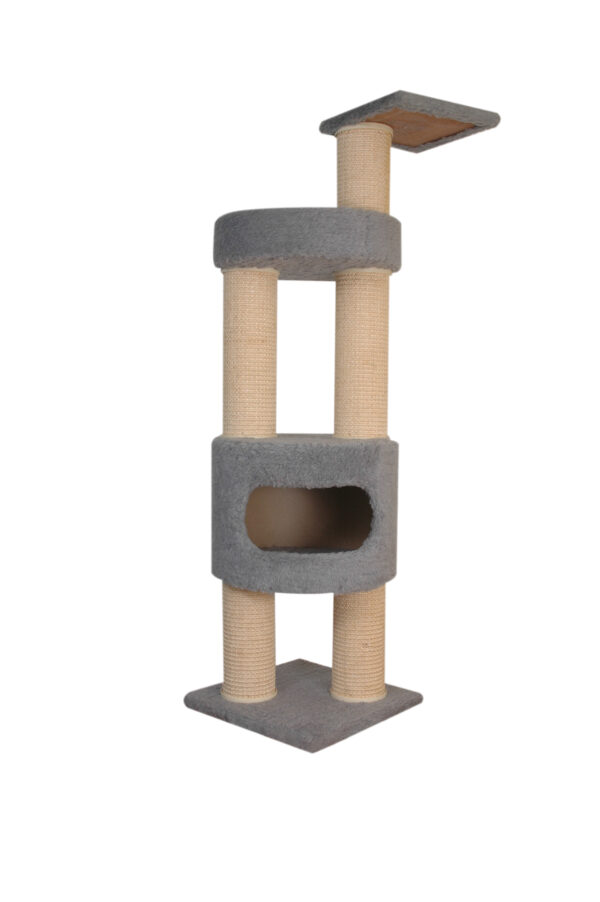 Cat-2000 floor model xl premium