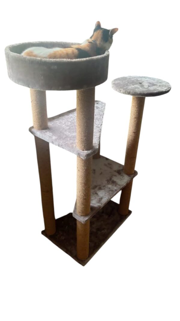 Cat-2000 cat tree economic
