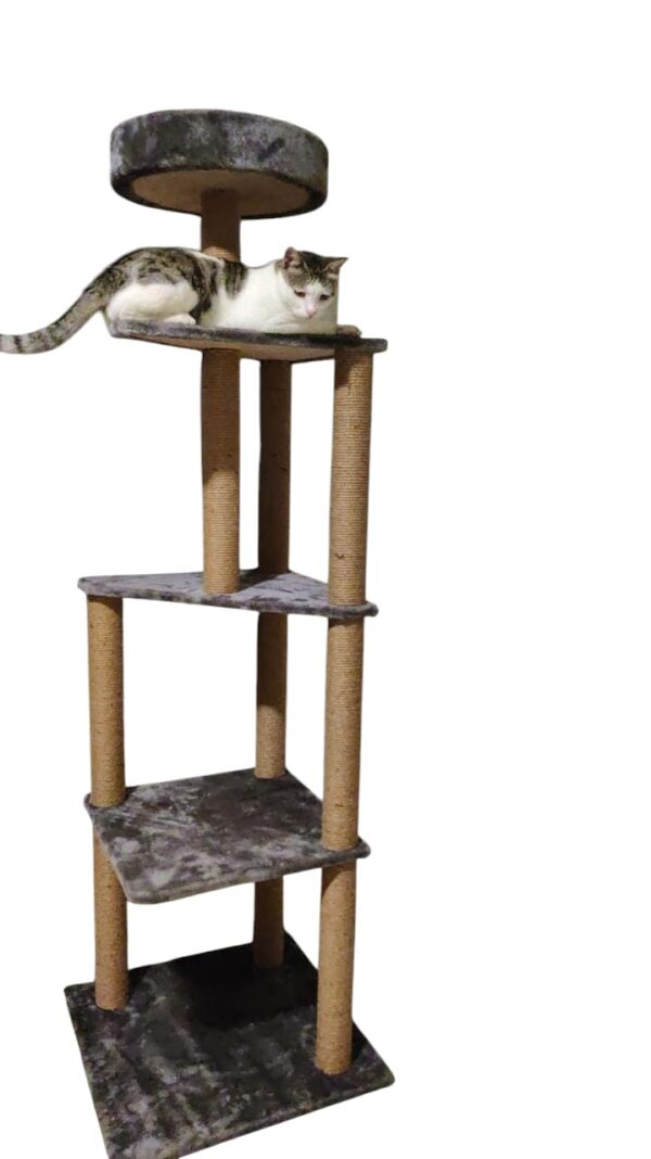 Cat-2000 cat tree economic
