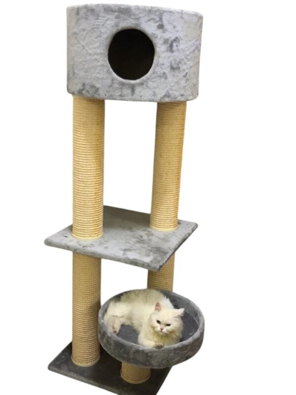 Cat-2000 floor model premium