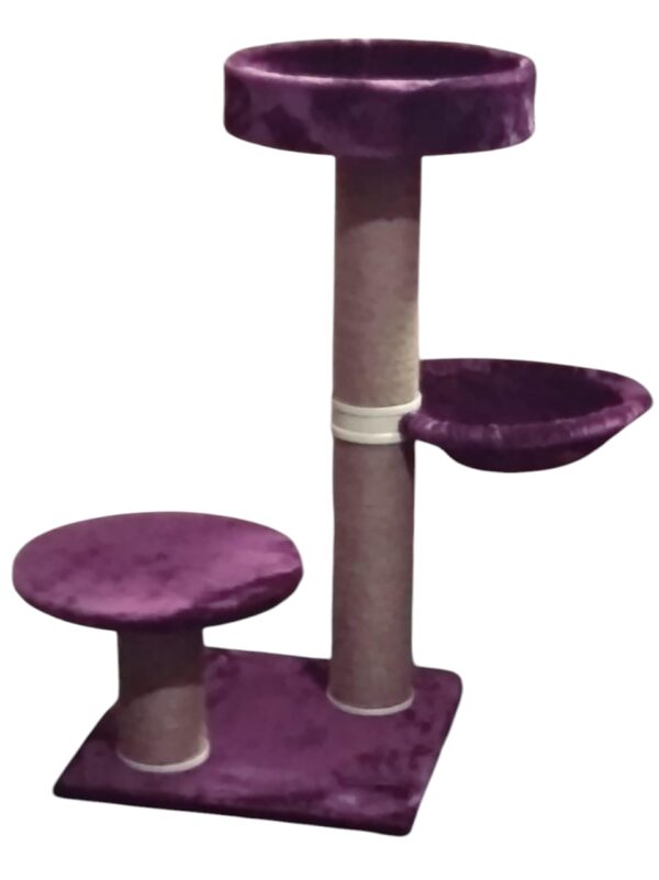 Cat-2000 eco premium floor model