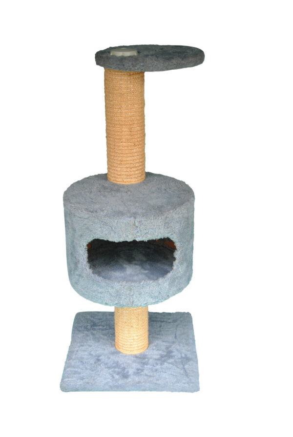 Cat-2000 floor model premium