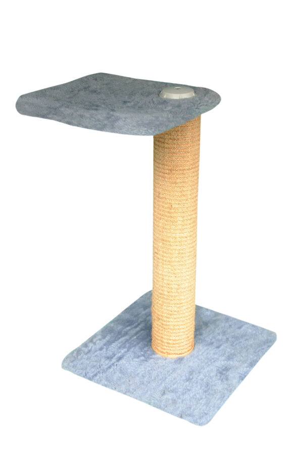 Cat-2000 floor model premium