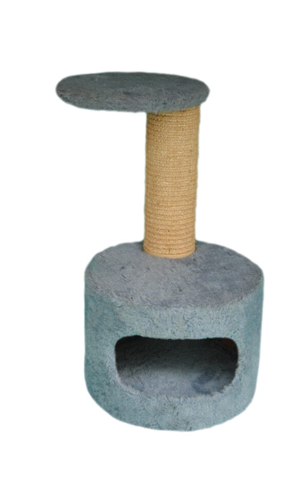Cat-2000 floor model premium