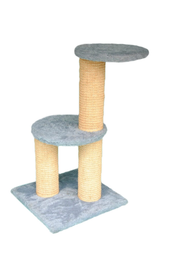 Cat-2000 floor model premium