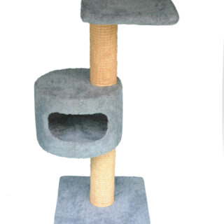 Cat-2000 floor model premium Rogan