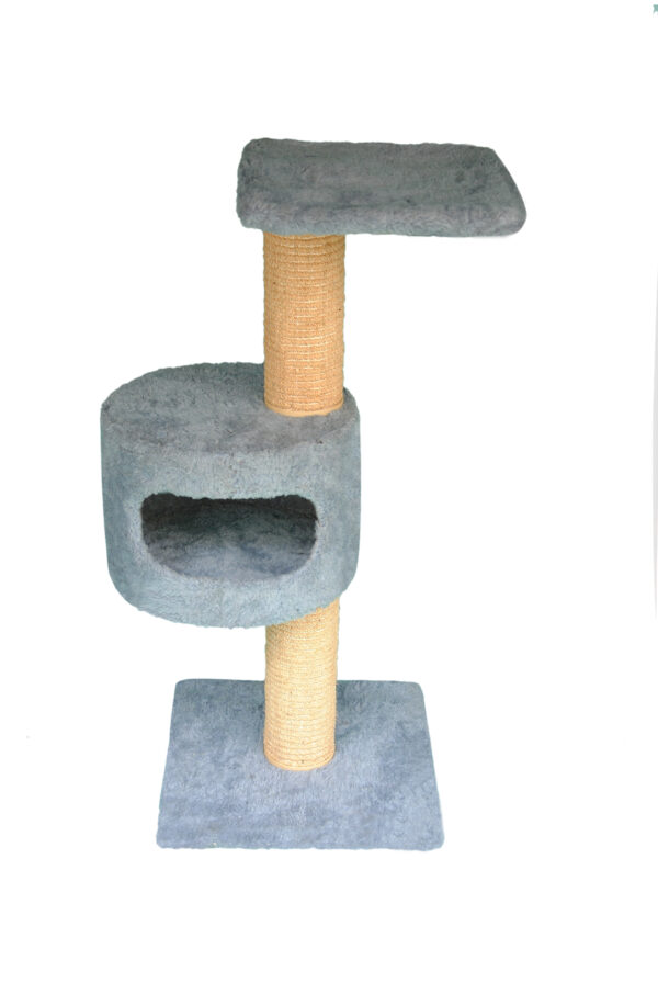 Cat-2000 floor model premium Rogan