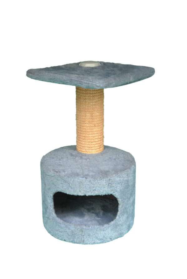 Cat-2000 floor model premium