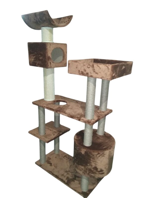Cat-2000 floor model