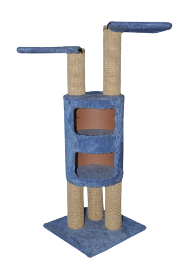 Cat-2000 floor model premium