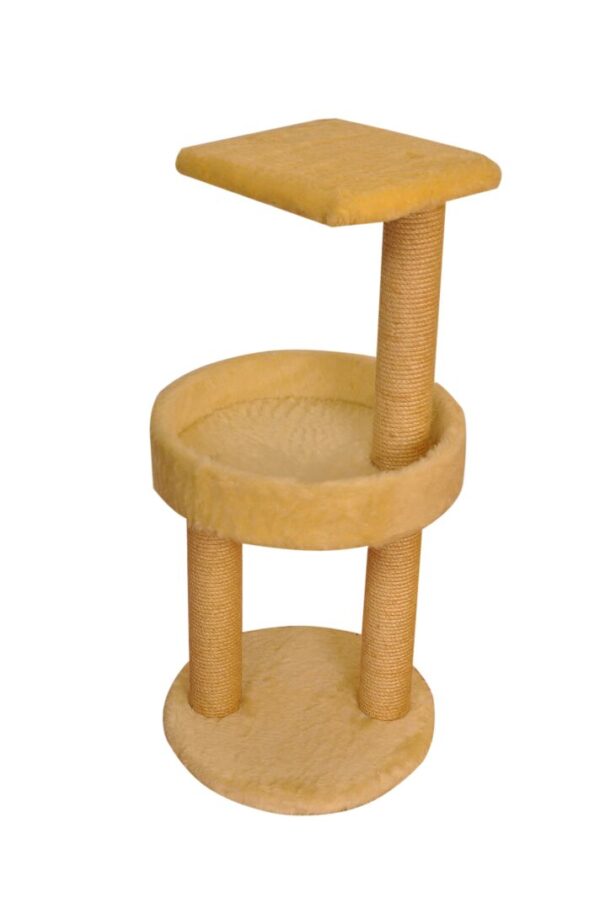 Cat-2000 floor model economic Tarjan