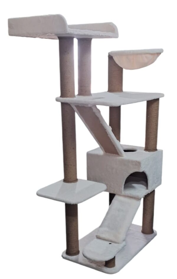 Cat-2000 floor model eco premium nano
