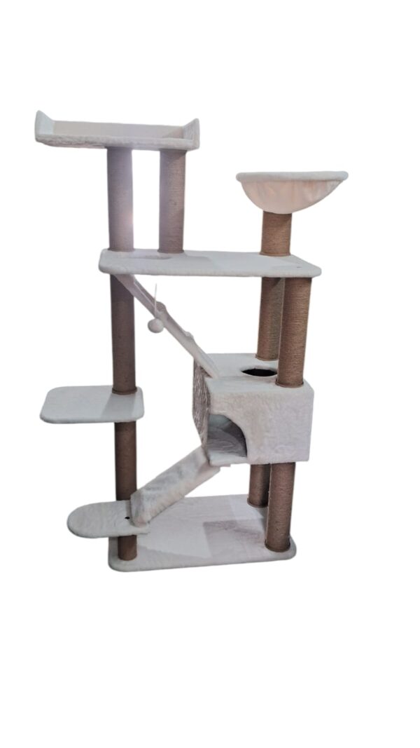 Cat-2000 floor model eco premium nano - Image 3