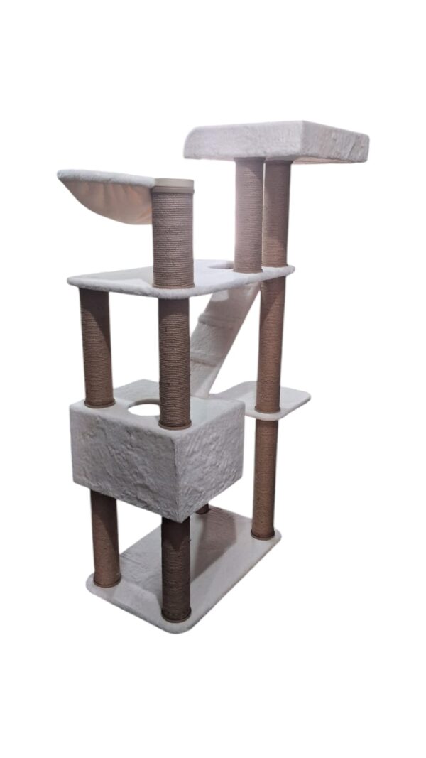 Cat-2000 floor model eco premium nano - Image 4
