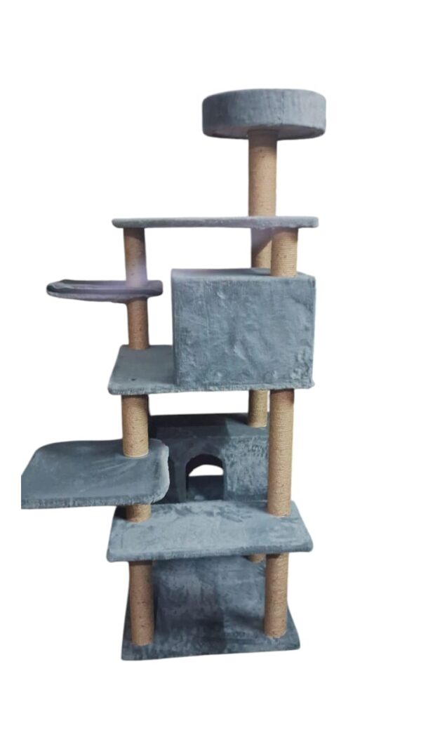 Cat-2000 floor model - Image 2