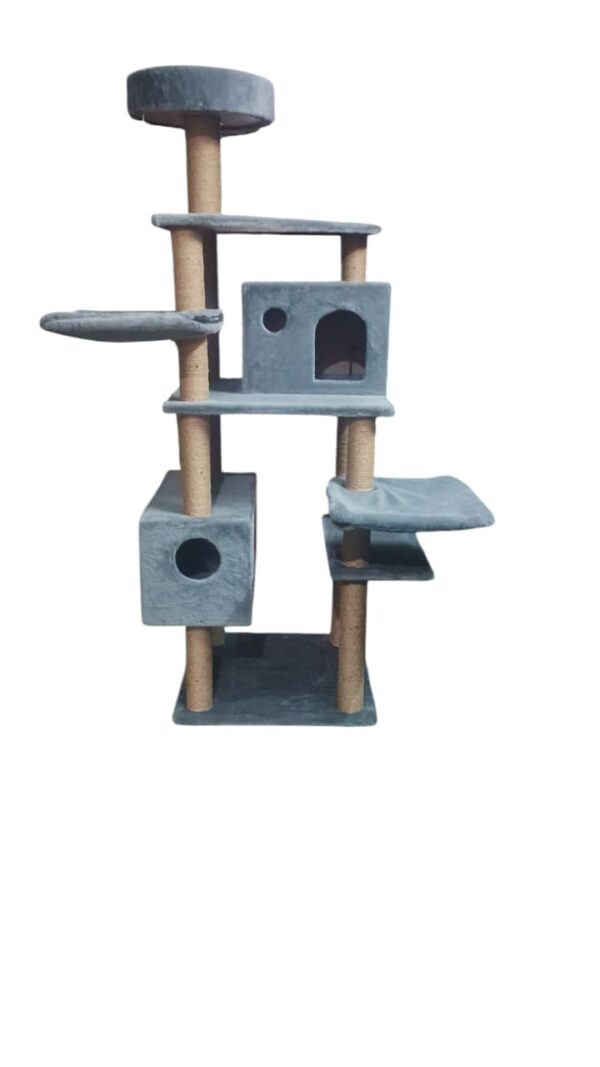 Cat-2000 floor model