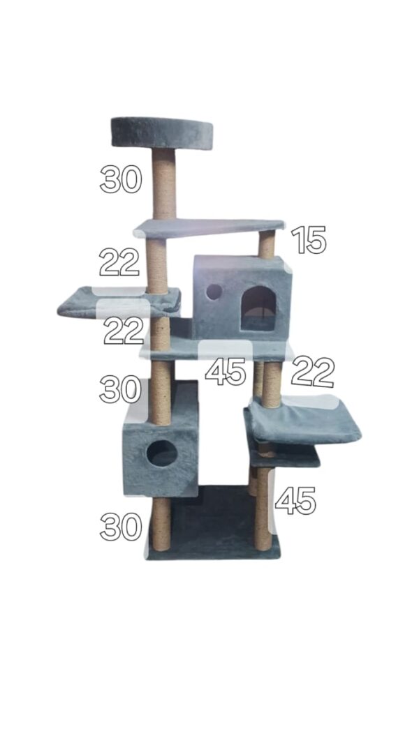 Cat-2000 floor model - Image 3
