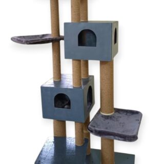 Cat-2000 floor model