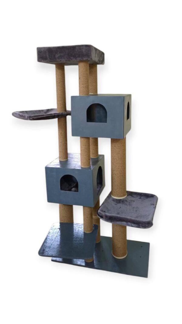 Cat-2000 floor model