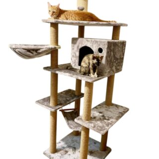 Cat-2000 floor model