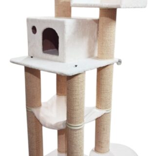 Cat-2000 floor model
