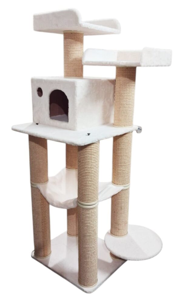 Cat-2000 floor model